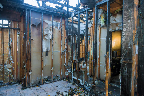 Professional Fire Damage Assessment technician working in Merriam, KS